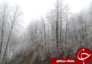 نگاهی گذرا به مهمترین رویدادهای 30بهمن در مازندران