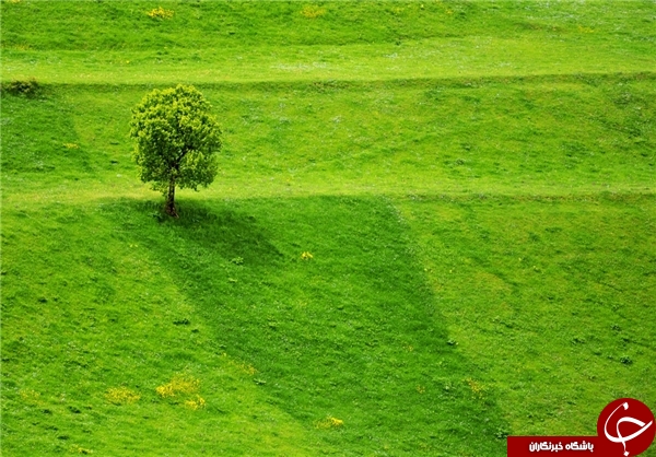 جنگلهای ارسباران بهشت گمشده ایران زمین-آذربایجان شرقی