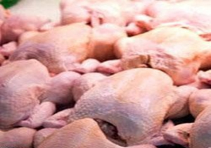 توقیف دوهزار قطعه مرغ گوشتی در نهبندان