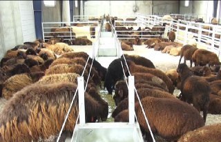 بهره برداری از 14 طرح صنعتی و کوچک روستایی