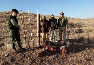 دستگیری 2 شکارچی غیر مجاز در شیروان