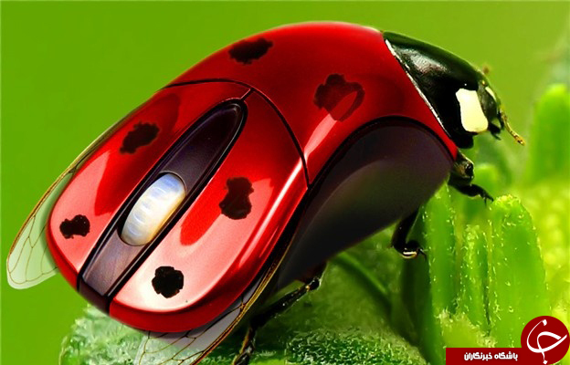 سیر تکاملی موس های رایانه به روایت تصویر