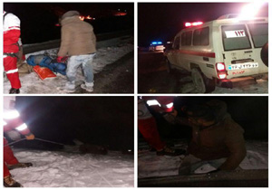 نجات معجزه آسا پس از سقوط به دره