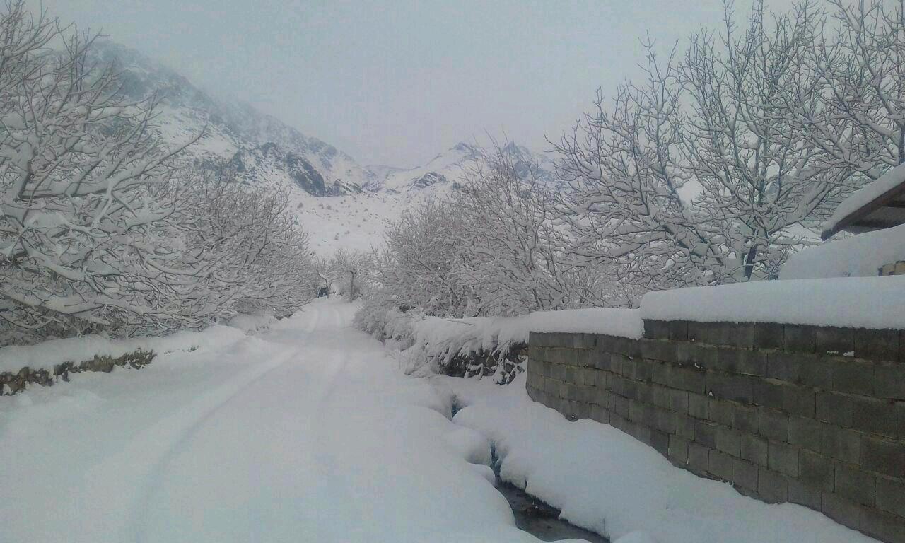 تصاویری از بارش زیبای برف در کرمان