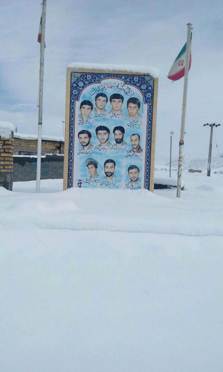 تصاویری از بارش زیبای برف در کرمان