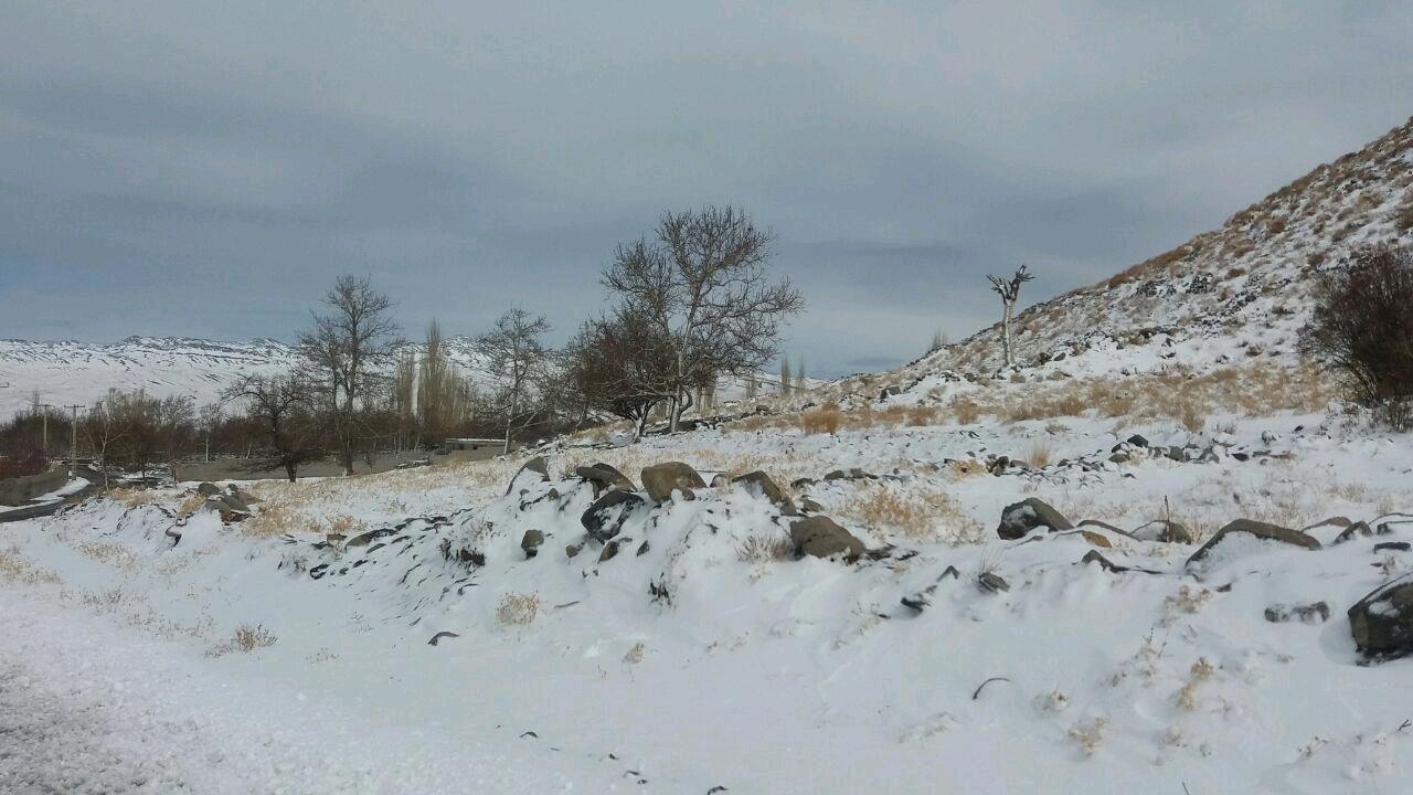 تصاویری از بارش زیبای برف در کرمان