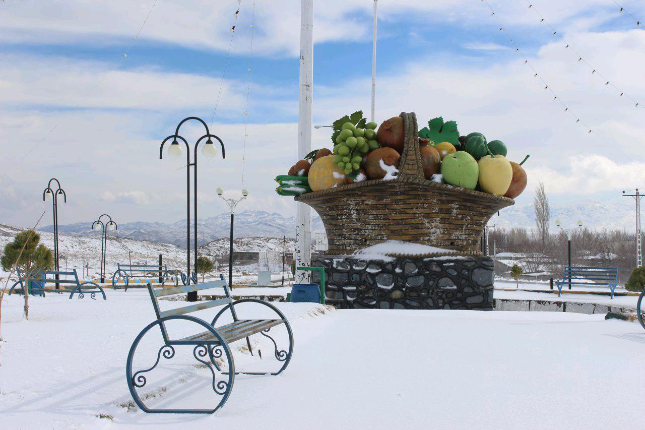 تصاویری از بارش زیبای برف در کرمان