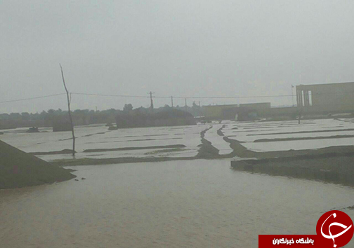امدادرسانی به بیش از 50 خانوار در ایرانشهر