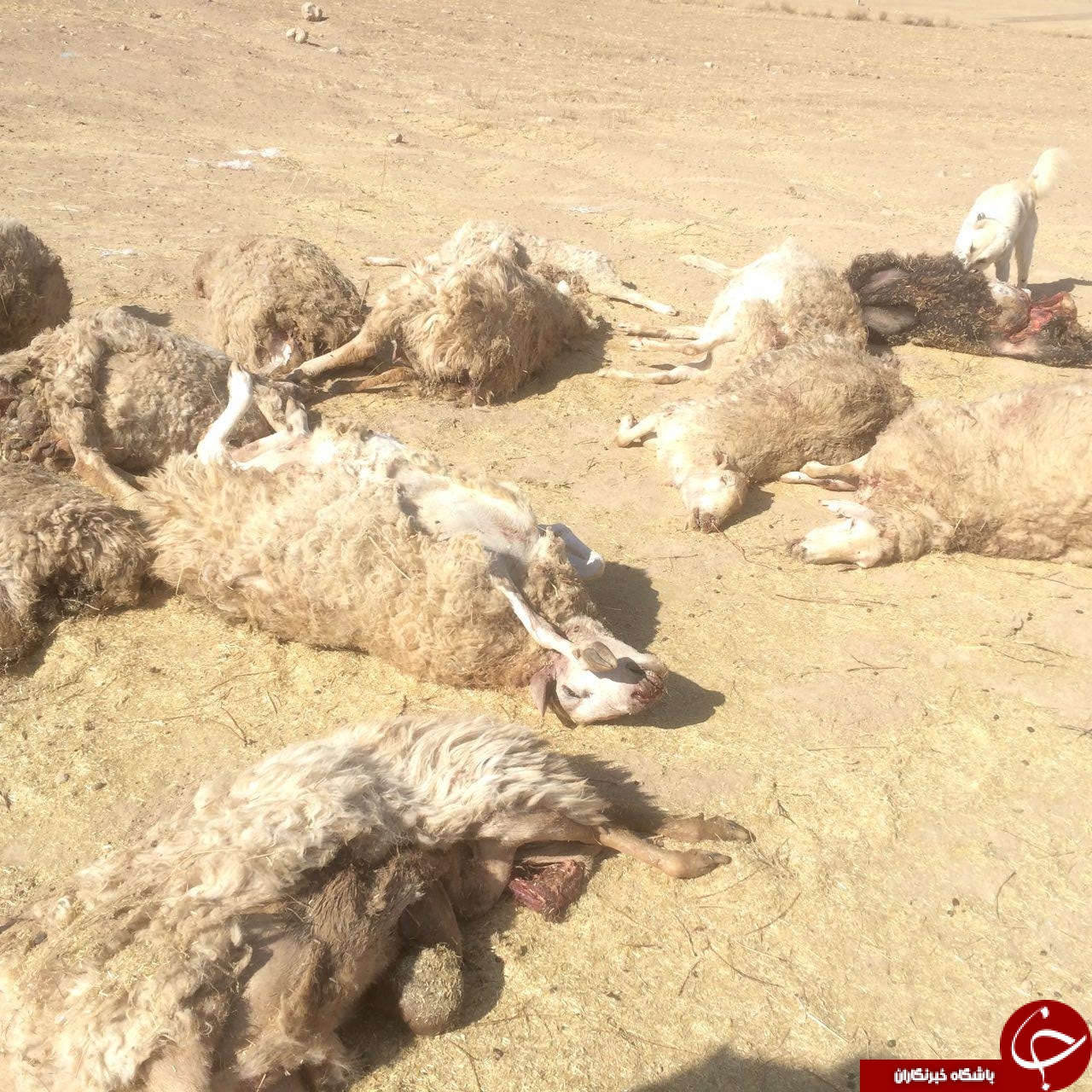 نگاهی گذرا به مهمترین رویدادهای 5 بهمن در مازندران
