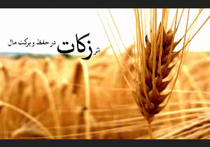 تحقق 111 درصدی پرداخت زکات در آذربایجان غربی
