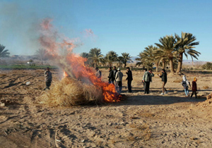 ارمغان بهار و جشن سده در خوروبیابانک