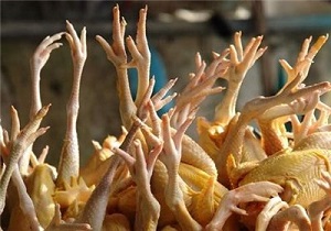 صادرات سالانه 2 هزار تن پا و پنجه مرغ به خارج از کشور