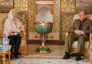 علاقه مند به استفاده از تجربیات اتریش در زمینه های مختلف هستیم