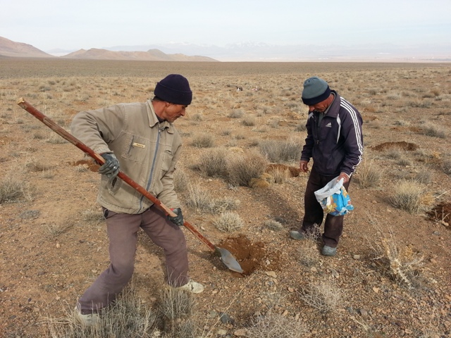 اجرا طرح احیا و اصلاح مراتع در استان بوشهر