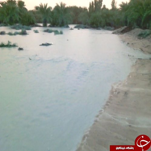 سیلاب اخیر خسارت  به بخش کشاورزی در جنوب سیستان و بلوچستان+ تصاویر