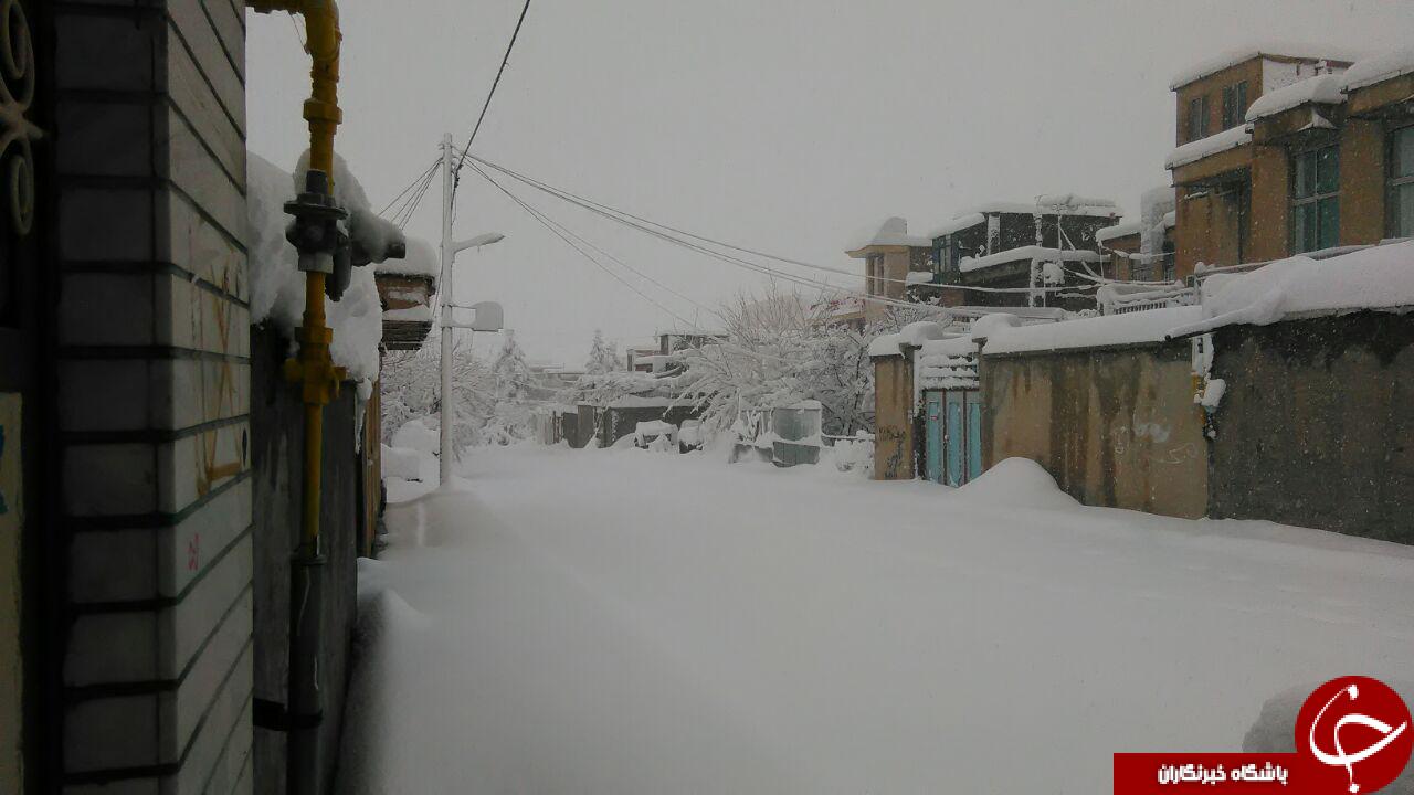 بارش 70سانتی برف در شهرستان دالاهو + تصاویر