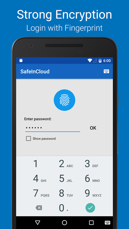 SafeInCloud Password Manager