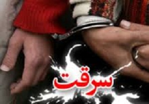 خودروی حامل وسایل سرقتی در شاهرود متوقف شد