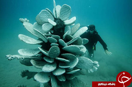 موزه مجسمه های زیر آبی در اسپانیا+ تصاویر