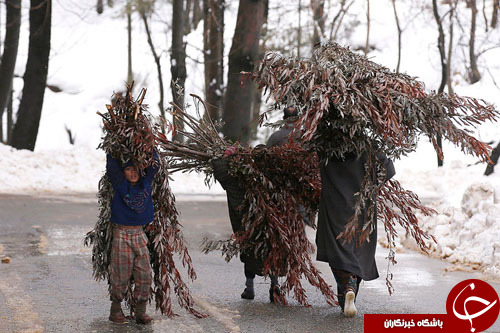 از تمرین زنده ماندن در زمستان تا صورت نمکی باراک اوباما/////////////////////