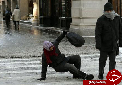 گیاهی برای کاهش آمار تصادفات خودرو ها!