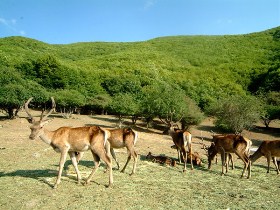 ارسباران ، بهشت گمشده ایران
