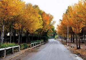 گردهمایی خلق آثار حجمی روی چوب در ناژوان اصفهان برگزار می شود