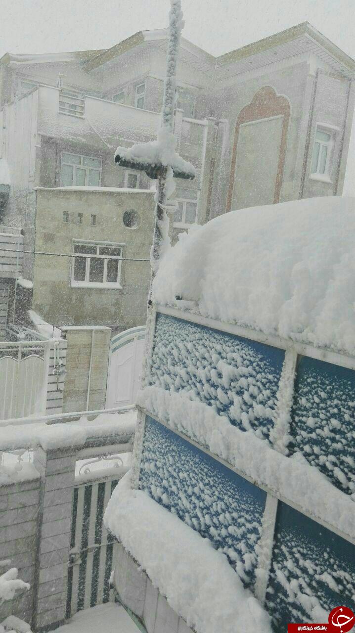 بارش برف در شهرستان دلفان به نیم متر رسید+ تصاویر
