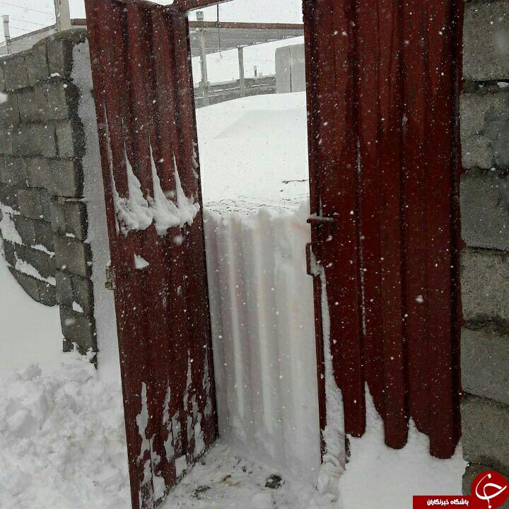 بارش برف در شهرستان دلفان به نیم متر رسید+ تصاویر