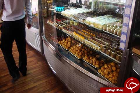 پربازدیدترین خبرهای بوشهر در یک کلیک