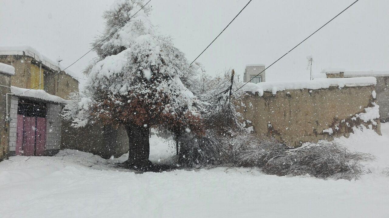 تعطیلی مدارس شهرستان های کرمانشاه در روز یکشنبه