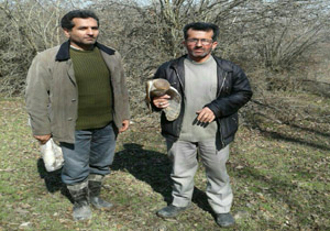 دستگیری شکارچی متخلف در شهرستان آمل