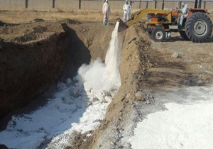 پاکسازی سومین کانون آنفلوآنزای فوق حاد در شهرستان بن