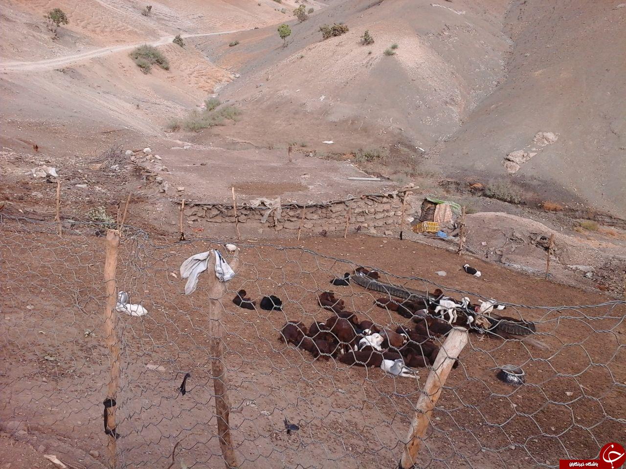 تصاویری از روستاهای مناطق محروم شهرستان دلفان