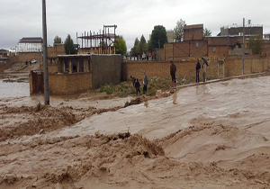 خسارت ۳۳۰۰ واحد مسکونی در استان بوشهر