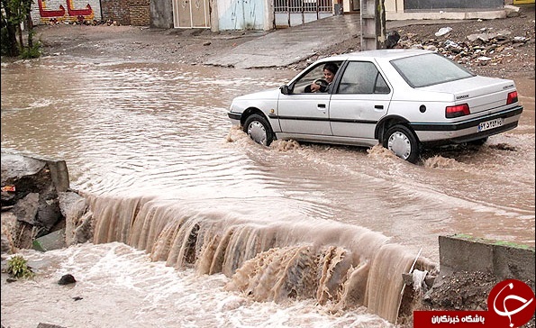 پربازدیدترین خبرهای بوشهر در یک کلیک