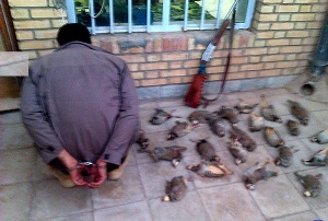 قاچاقچیان سهره طلایی در دام قانون