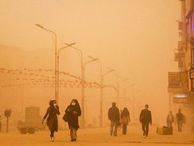 باز هم خاک