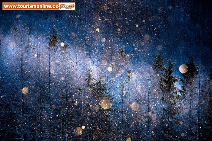 مسابقه بزرگ عکاسی 