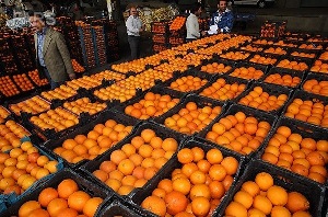 توزیع میوه شب عید طرح تنظیم بازار در آذربایجان غربی در 354 مرکزعرضه