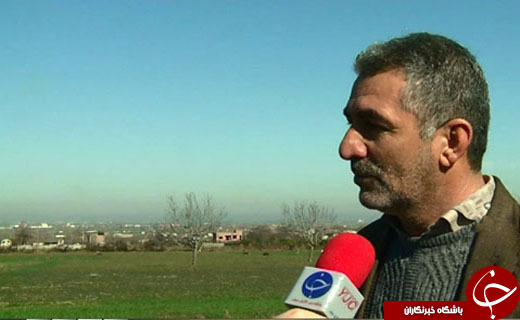کشت نوین گندم در گلستان