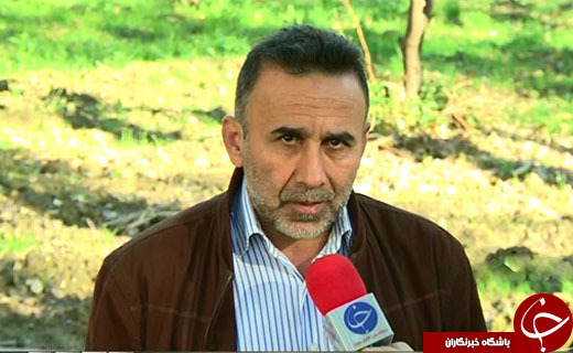 کشت نوین گندم در گلستان