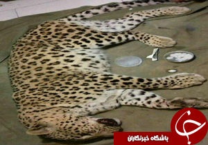 نگاهی گذرا به مهمترین رویدادهای 11 اسفند در مازندران