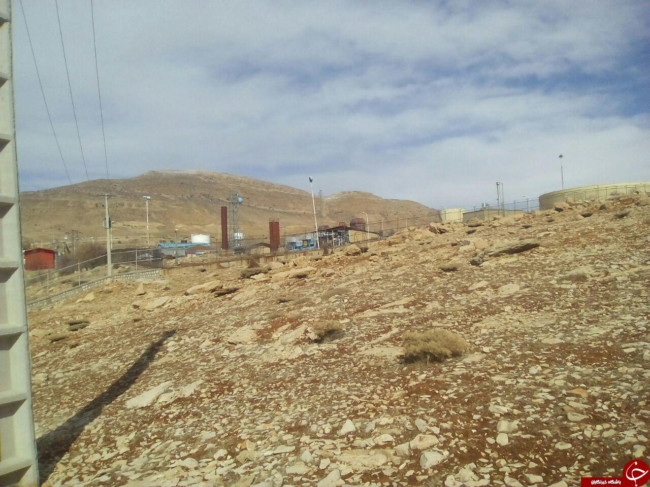 نفت، محیط زیست &laquo;سرخون&raquo; را تهدید می&zwnj;کند + تصاویر
