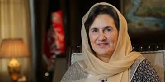 رولا غنی: دولت افغانستان آمادگی قطع کمک&zwnj;های آمریکا را داشته باشد