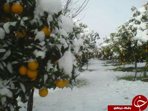 نگاهی گذرا به مهمترین رویدادهای 12 اسفند در مازندران