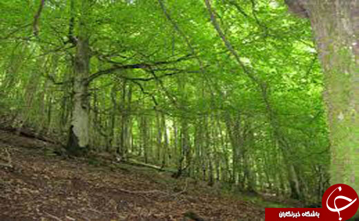 نگاهی گذرا به مهمترین رویدادهای 12 اسفند در مازندران