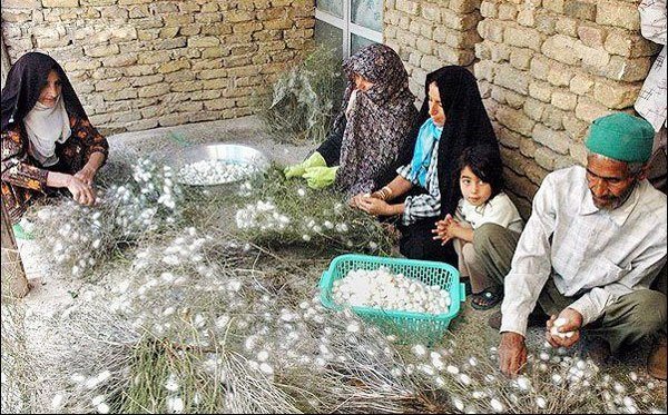 افزایش رونق کسب و کار در روستاها