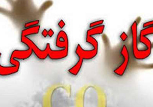 گاز منوکسیدکربن دو نفر را راهی بیمارستان کرد