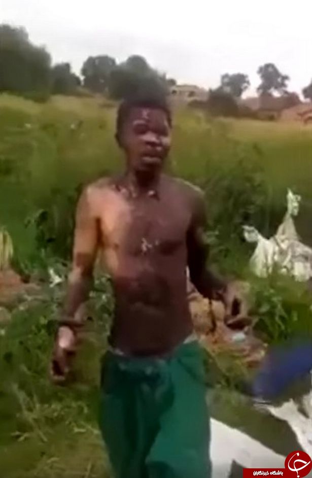 لحظه هولناک برق گرفتگی و سقوط مردی از دکل برق/فیلم (+ ۱۸)
